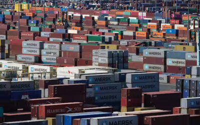 How do you know if a shipping container is suitable for your shipment or not?